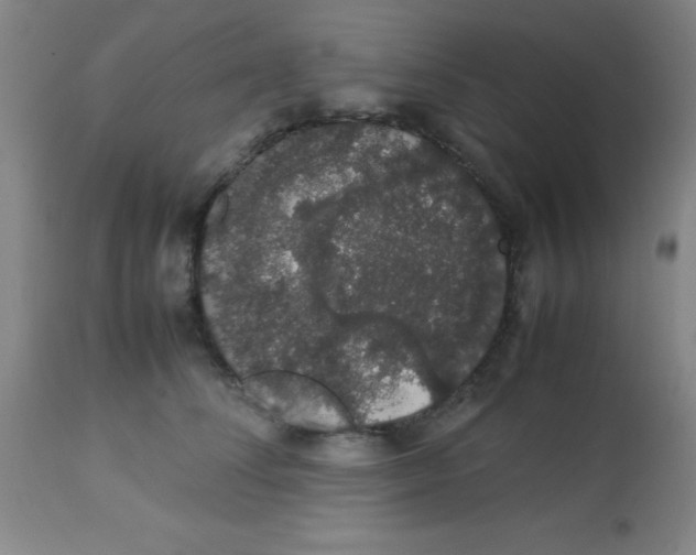 X0000113760708200910211209