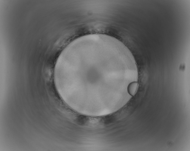 X0000113760709200910211209