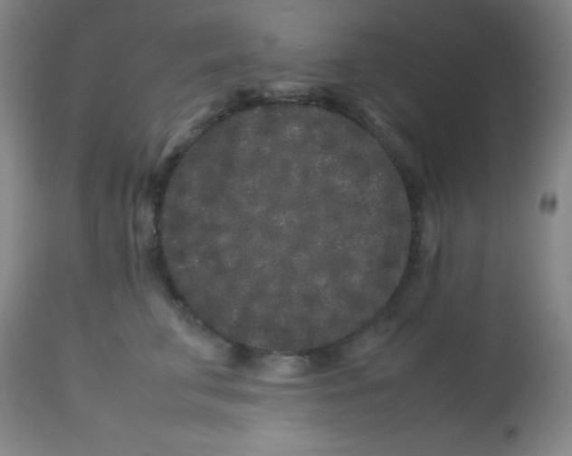 X0000113760711200910211209