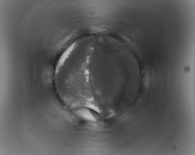 X0000113760712200910211209