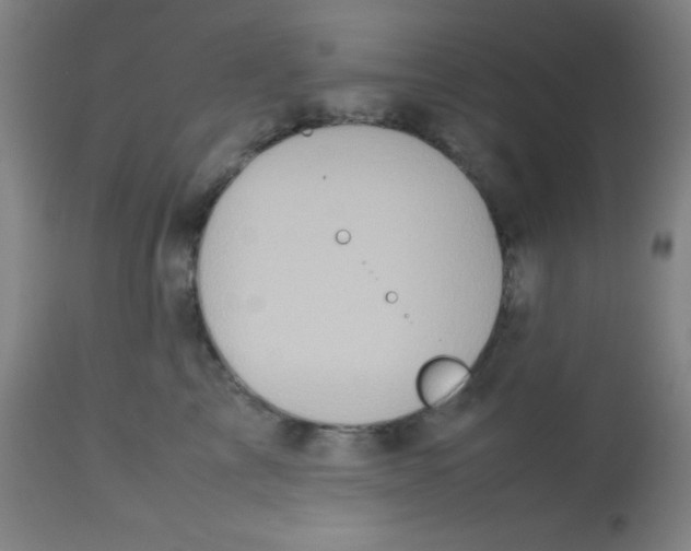 X0000113760713200910211209
