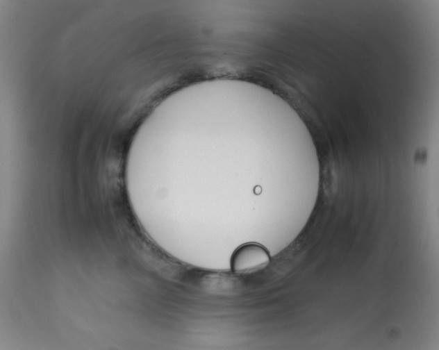 X0000113760714200910211209