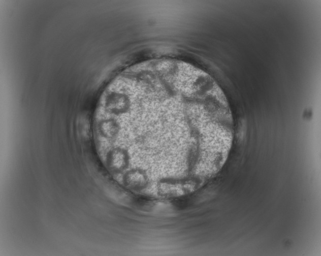 X0000113760715200910211209