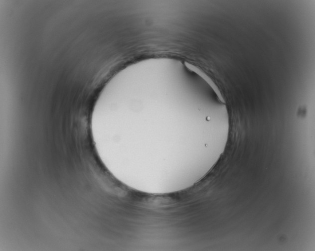 X0000113760716200910211209