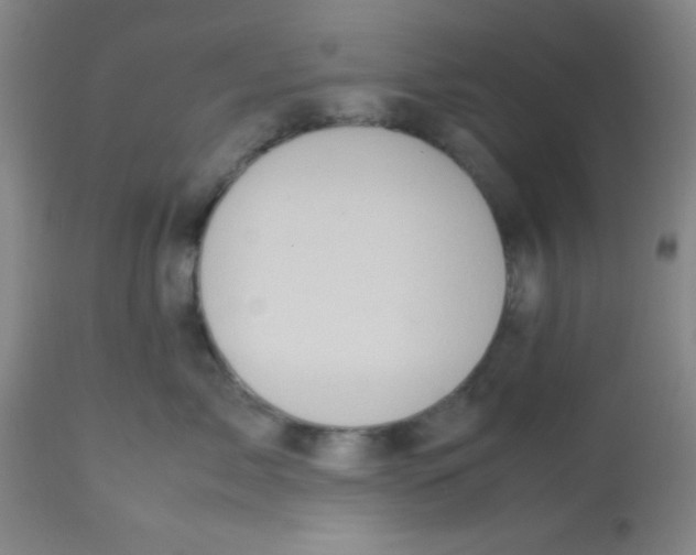 X0000113760717200910211209