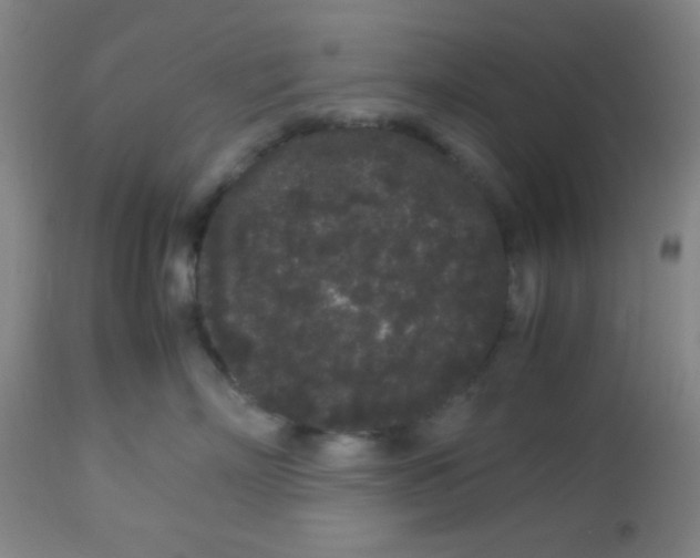 X0000113760718200910211209