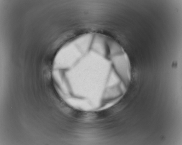 X0000113760719200910211209