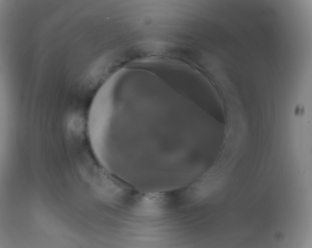 X0000113760720200910211209