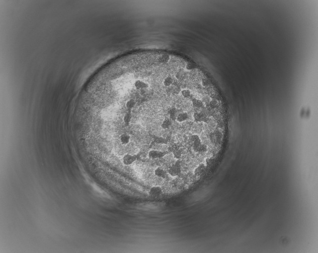 X0000113760721200910211208