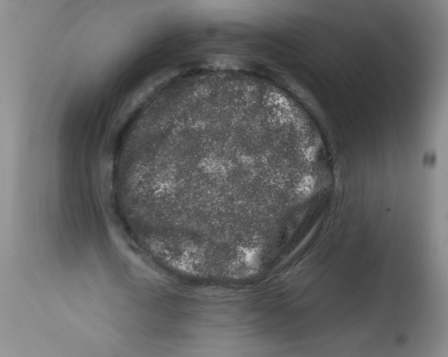 X0000113760722200910211208