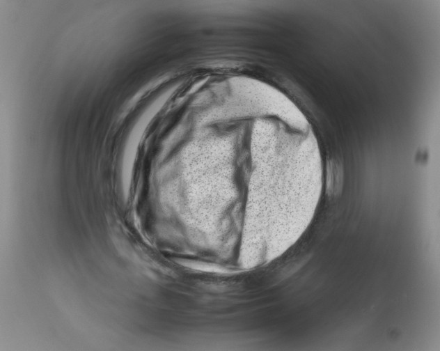 X0000113760723200910211208