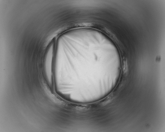 X0000113760725200910211208