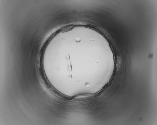 X0000113760726200910211208