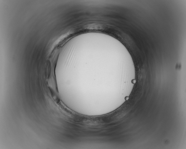 X0000113760727200910211208