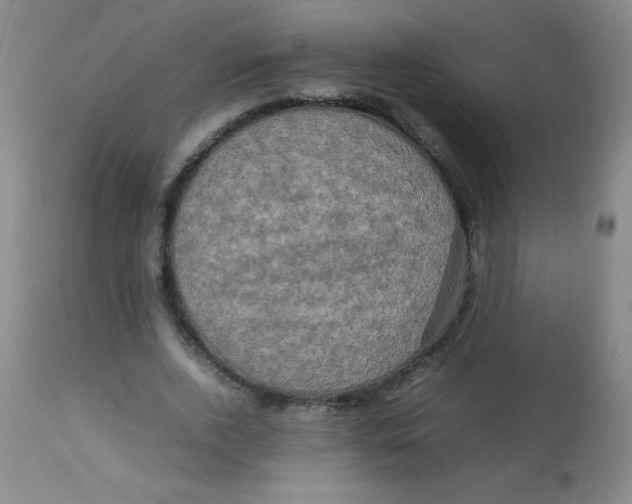 X0000113760728200910211208