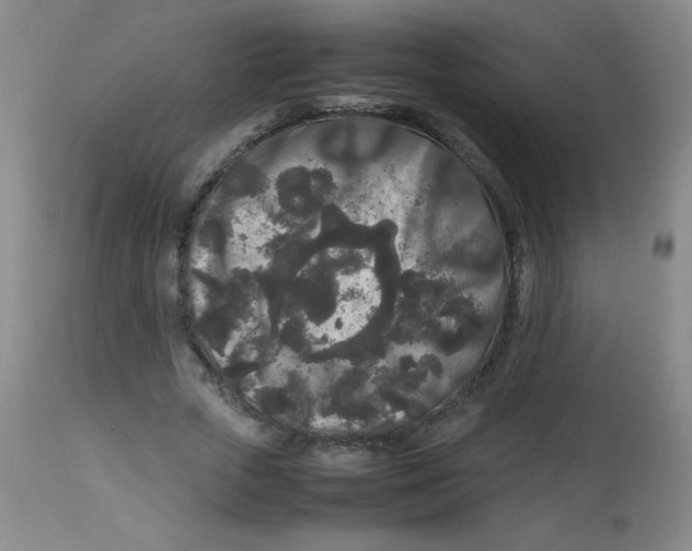 X0000113760729200910211208