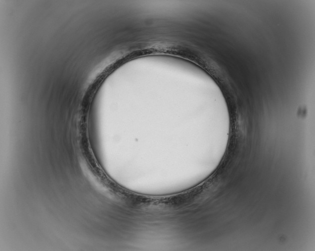 X0000113760730200910211208