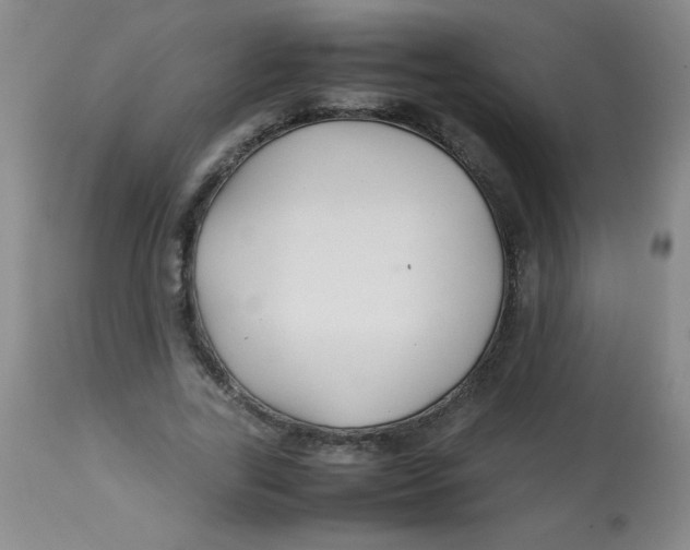 X0000113760731200910211208