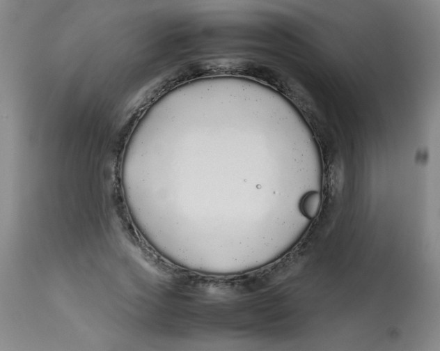 X0000113760733200910211209