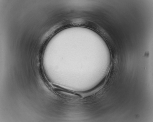X0000113760734200910211209