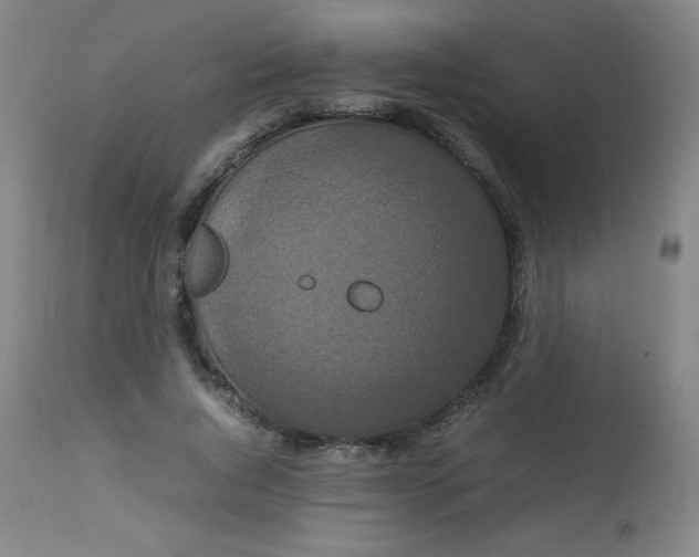 X0000113760736200910211209