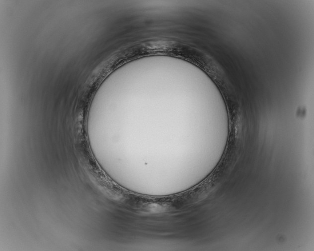 X0000113760737200910211209
