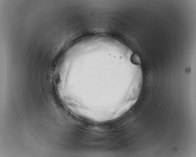 X0000113760739200910211209