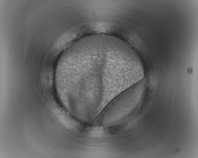 X0000113760740200910211209
