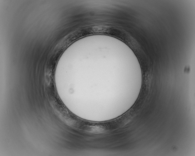 X0000113760741200910211209