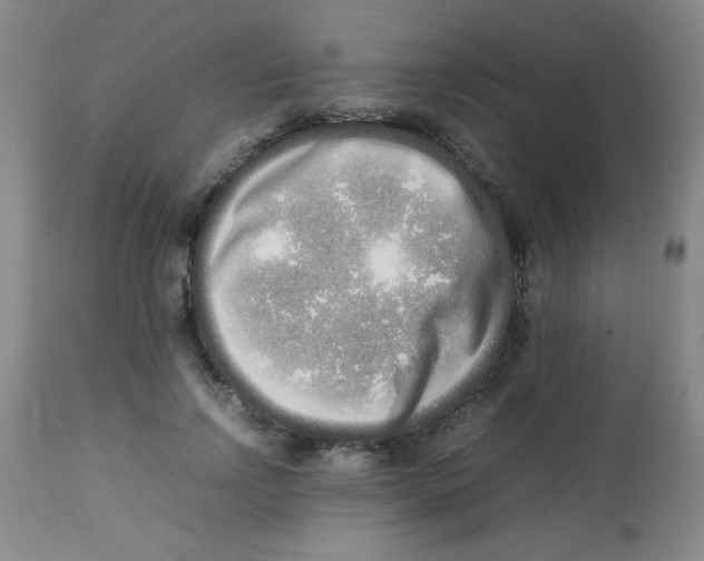 X0000113760742200910211209