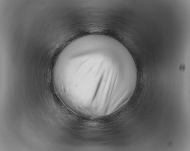 X0000113760743200910211209