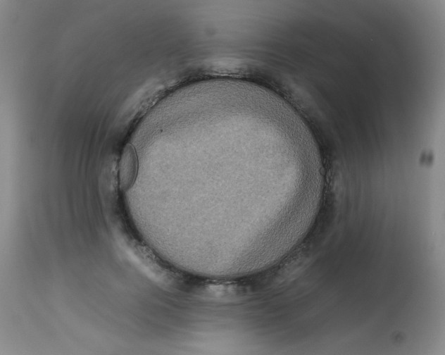 X0000113760744200910211209