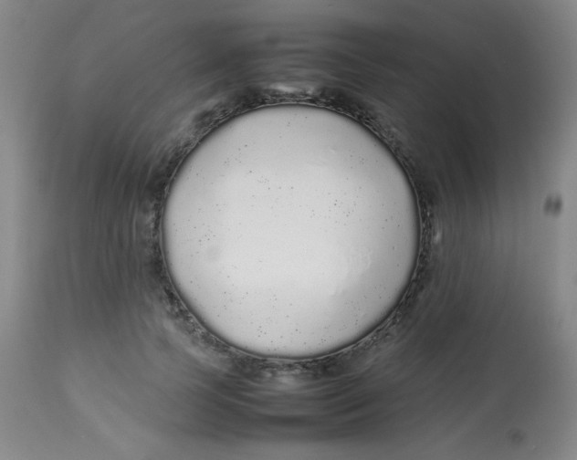 X0000113760745200910211209