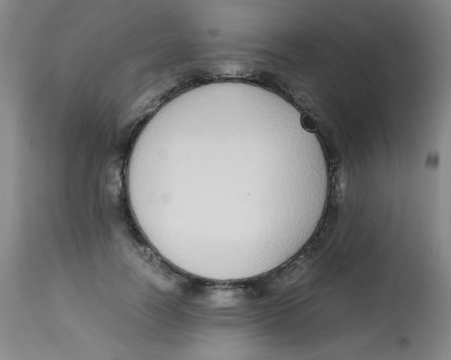 X0000113760746200910211209