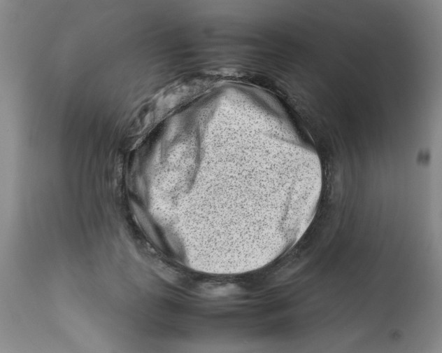 X0000113760747200910211209