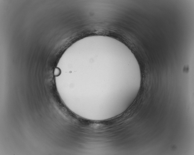 X0000113760748200910211209