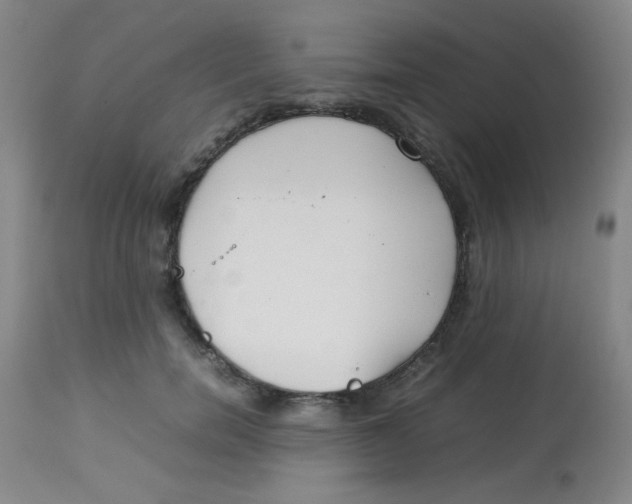 X0000113760750200910211209