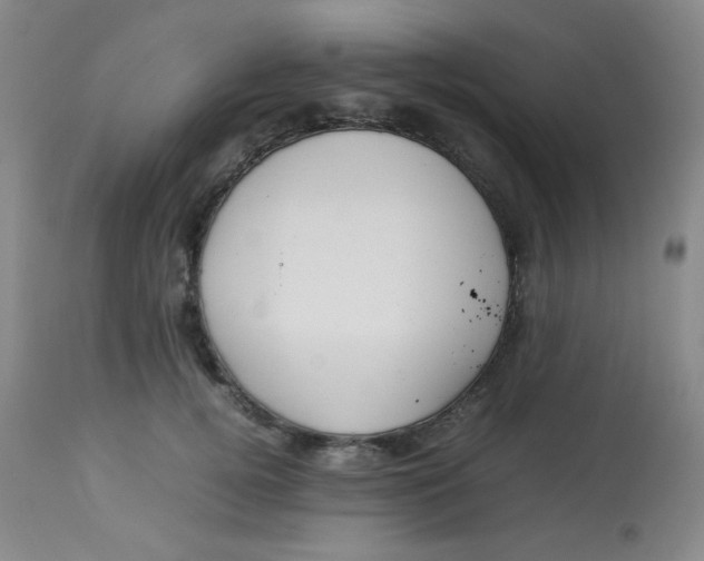 X0000113760752200910211209