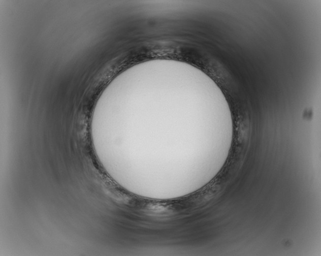 X0000113760753200910211209