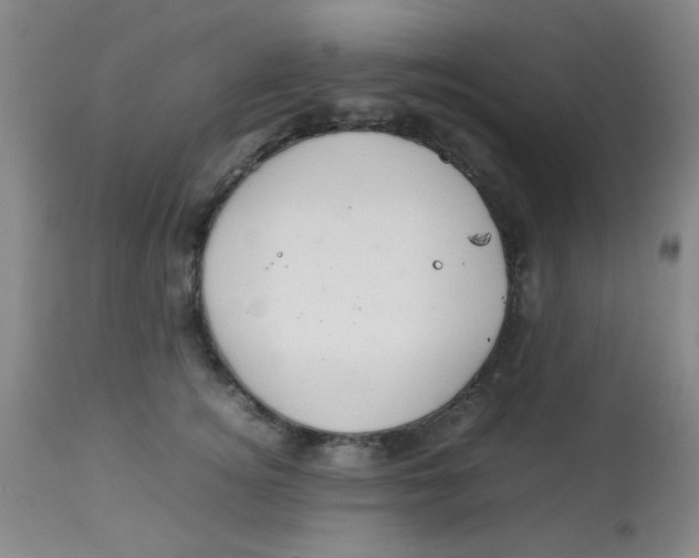 X0000113760756200910211209