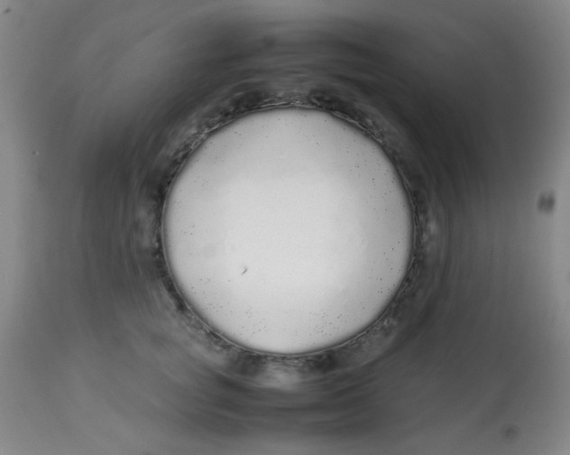 X0000113760757200910211209
