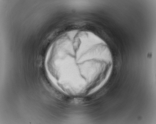 X0000113760758200910211209
