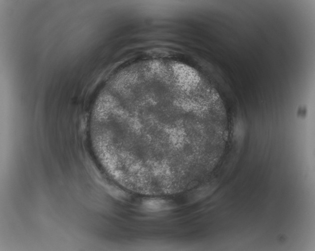 X0000113760759200910211209