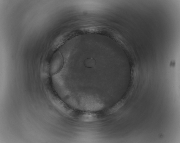 X0000113760760200910211209