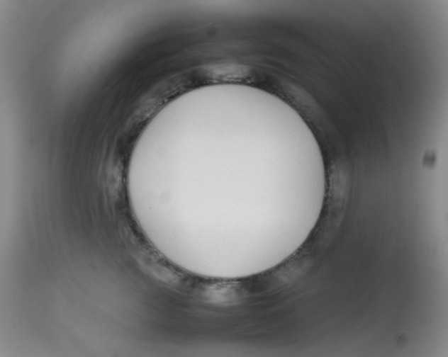 X0000113760761200910211209