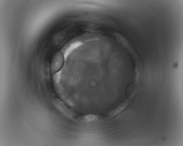 X0000113760762200910211209