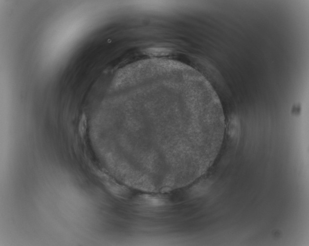 X0000113760763200910211209