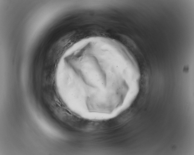 X0000113760765200910211209