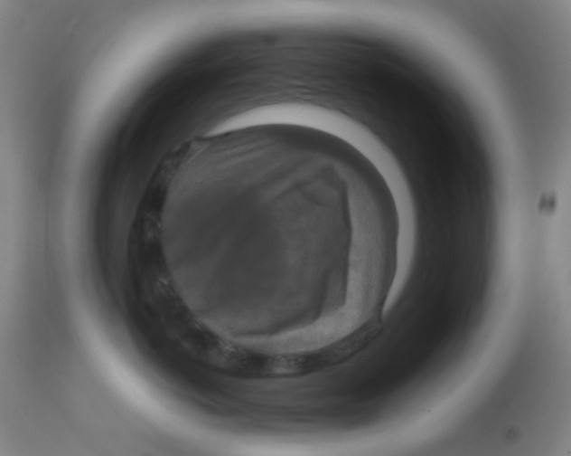 X0000113760766200910211209