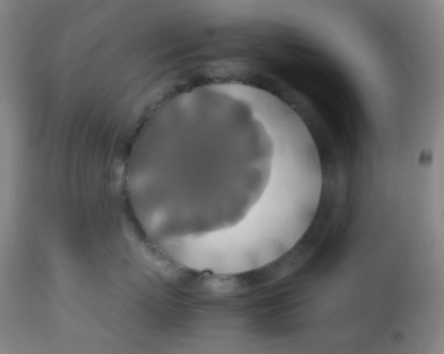 X0000113760767200910211209